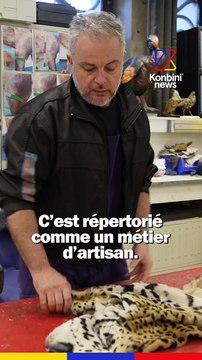 Taxidermiste : leur job, empailler les animaux du muséum d'Histoire naturelle | Good Job