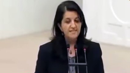 AKP'den önce HADEP'te yer alan Mehmet Metiner Saadet Partisi'nden gençliğini geri istedi