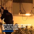 Desmantelan un clan familiar que cultivaba marihuana para exportarla a Francia / MOSSOS
