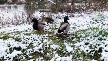 March snow in Lancashire