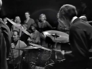 The Birds & Bees - Down in the Boon Docks  1966