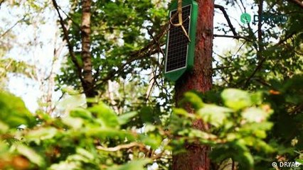 Containing wildfires with sensors and AI