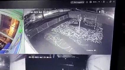 Police investigating after budgies were stolen from Brentry Primary School