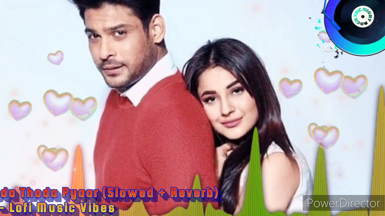 Thoda Thoda Pyaar [Slowed + Reverb] | Thoda Gussa Thoda Pyaar | Lofi Version | Lofi Music Vibes