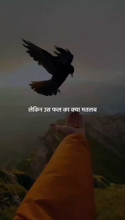 instaThe bakwas tag, The bakwas motivational, The motivational video, Comedy video, Funny jokes video, Song, American comedy, Indian comedy, Comedy, Facebook statusWhatsApp WhatsApp, , All status Instagram status, Bhakti song, Comedian song, New musical s