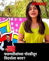 फडणवीसांच्या पोतडीतून विदर्भाला काय?