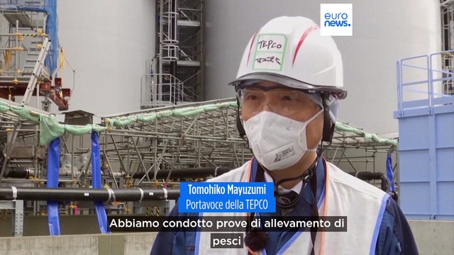 Giappone, Fukushima: presto l'acqua reflua radioattiva trattata finirà in mare