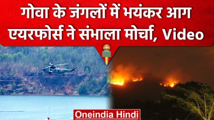 Goa की Mhadei Sanctuary में लगी आग को Indian Air Force बुझाने में जुटी | वनइंडिया हिंदी #Shorts