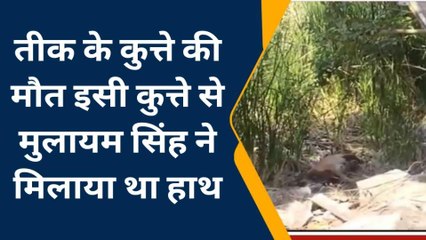 प्रयागराज: अतीक के पालतू कुत्ते ब्रूनो की मौत, मुलायम सिंह से किया था शेक हैंड