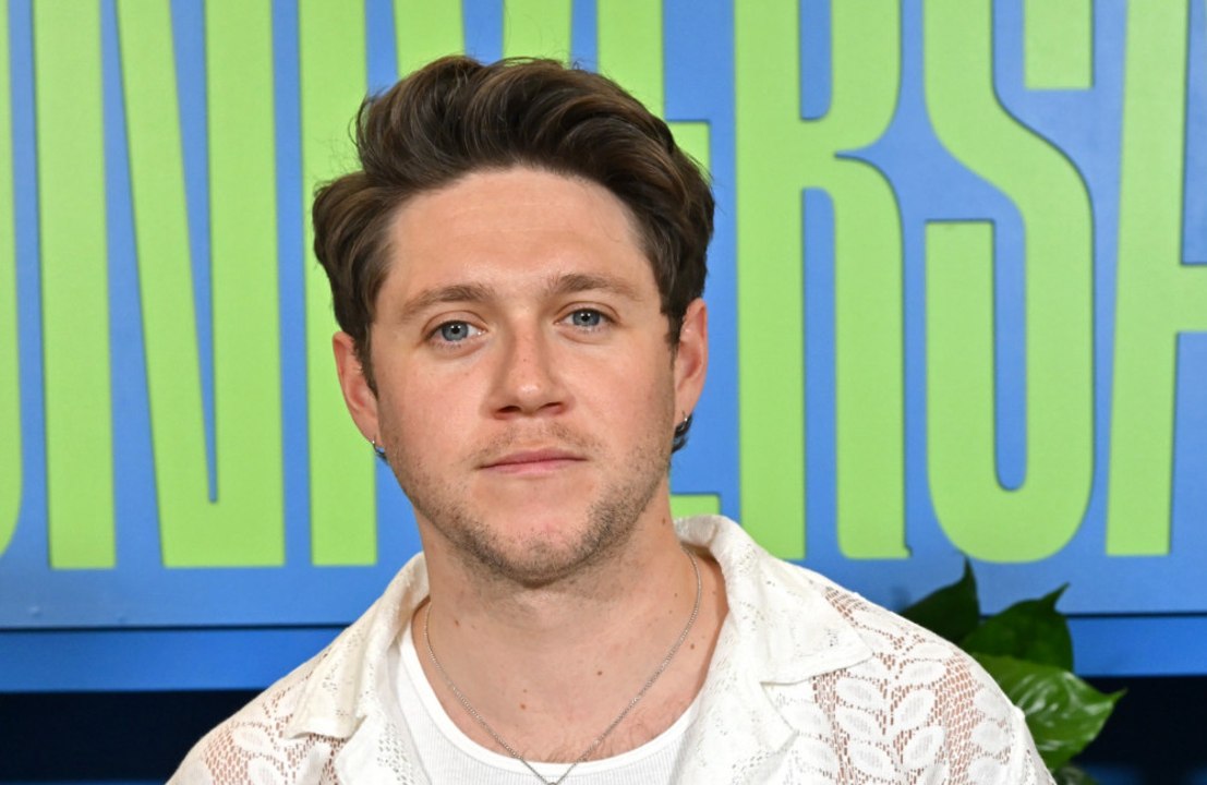 Niall Horan thinks Raye is "unbelievably gifted"