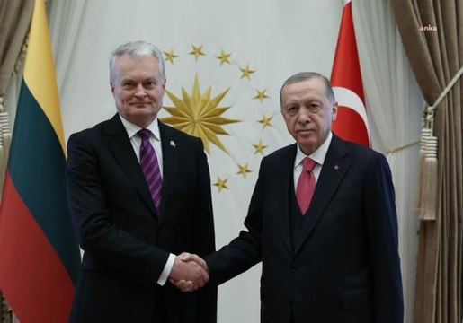 Cumhurbaşkanı Erdoğan, Litvanya Cumhurbaşkanı Nauseda ile görüştü