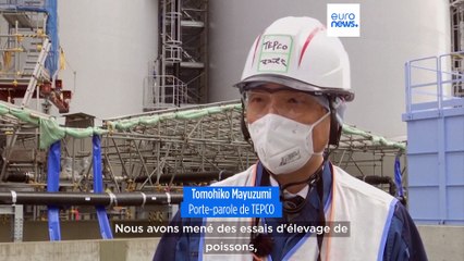 Fukushima : les eaux radioactives à la mer