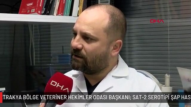 TRAKYA BÖLGE VETERİNER HEKİMLER ODASI BAŞKANI: SAT-2 SEROTİPİ ŞAP HASTALIĞI AŞISI HAZIR