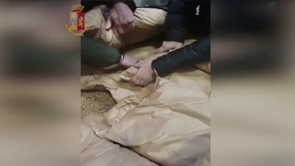 Torino, sequestrata droga per 6 milioni di euro