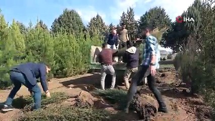 Depremde hayatını kaybeden sağlıkçılar adına meslektaşları hatıra ormanı oluşturdu