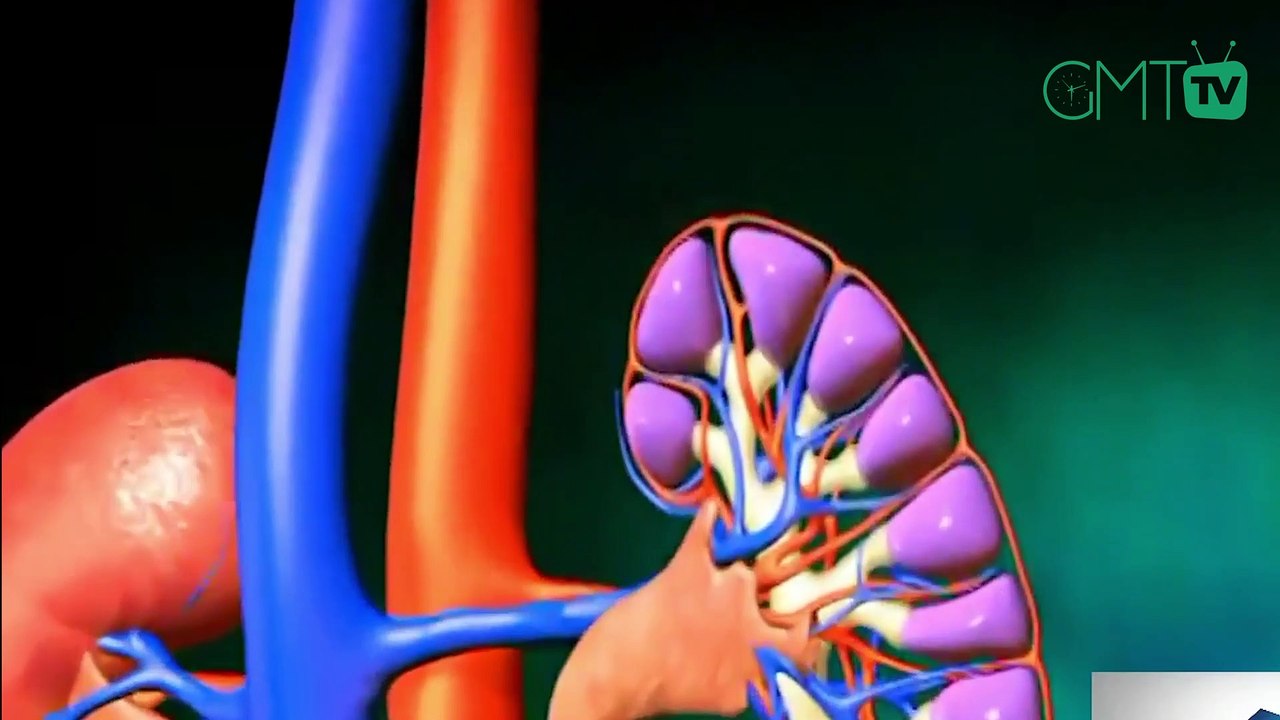 [#Reportage] Journée mondiale du rein: seulement 150 patients admis en dialyse au Gabon en 2022