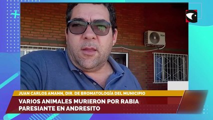 Varios animales murieron por rabia paresiante en Andresito