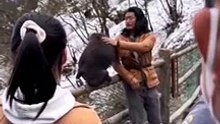 The monkey in Emei Mountain attacks tourists and is scared off by kung fu masters.峨眉山的潑猴突然襲擊遊客，被功夫高手嚇退。