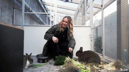 ¿Lindos y mimables? Los alemanes y sus mascotas