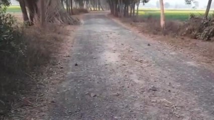 দঃদিনাজপুরঃ সংস্কার নেই, বেহাল রাস্তা নিয়ে দুর্ভোগ বাসিন্দাদের!