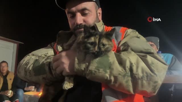 İtfaiye ekiplerinin kurtardığı Enkaz yeni yuvasına kavuştu