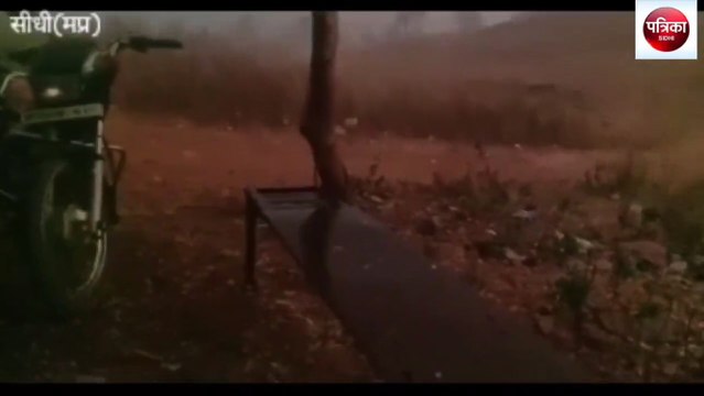 sidhi: Hailstorm in villages of Bahri Tehsil area, heavy damage to cro