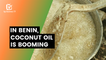 In Benin, coconut oil is booming