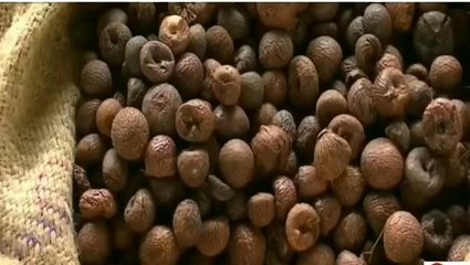 ಶಿವಮೊಗ್ಗ: ಅಡಕೆ ಬೆಳೆಗಾರರು ಫುಲ್ ಖುಷ್..ಹೀಗಿದೆ ರೇಟ್ ನೋಡಿ!