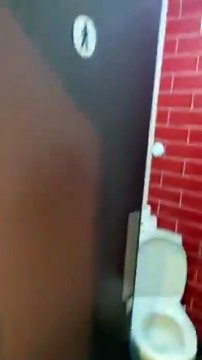 Ce gars est jaloux des toilettes des filles