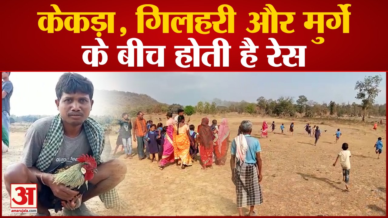 केकड़ा, गिलहरी और मुर्गे के बीच होती है रेस, ग्रामीण उत्साह से होते हैं शामिल