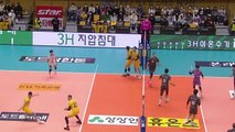 대한항공, 세 시즌 연속 정규리그 1위 확정 / YTN