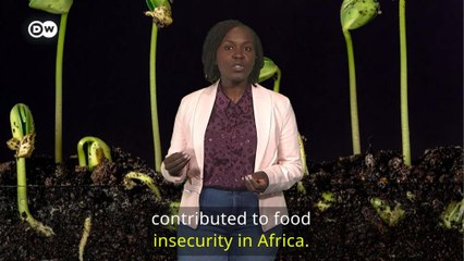 The Flip Side:  Punitive crop laws hurting famers in Africa