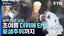 [날씨] 초여름 더위 이어 단비에 꽃샘추위까지...널뛰기 봄 날씨 / YTN