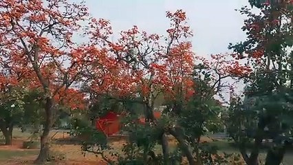 भोपाल में मौसम के रंग