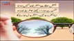 Islamic Quotes in Urdu| Islamic quotes about life| Urdu Quotes