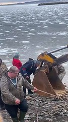 DFO Workers Help Dolphins Stuck in Ice