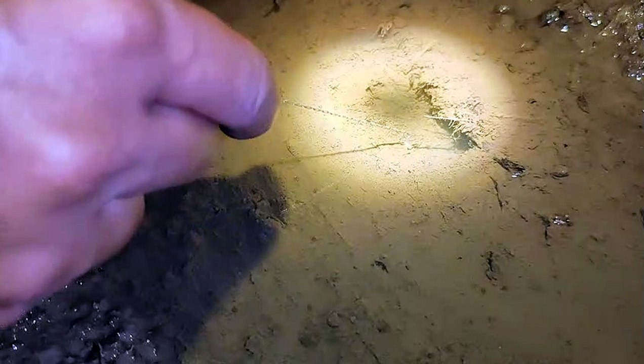 Fishing Eel night time