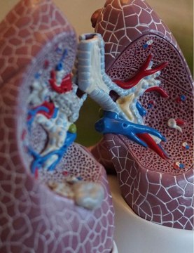 Cancer du poumon : les premiers symptômes qui doivent vous alerter