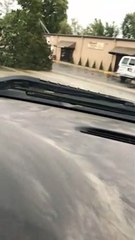 Truck Drags an Entire Tree Down the Road