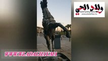 حصان الميكانيكي لنحات التونسي صاحبي في مطار محمد الخامس