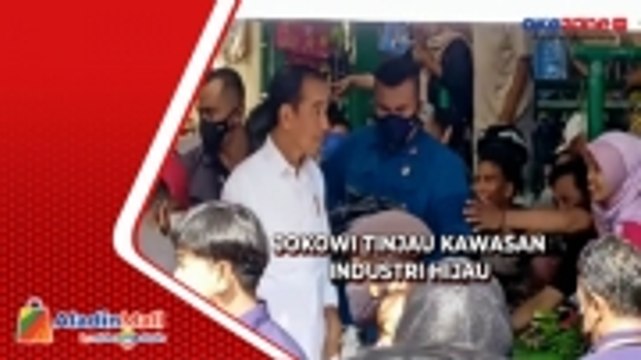 Presiden Tinjau Kawasan Kawasan Industri Hijau Terbesar di Dunia di Kaltara