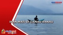 Ribuan Ikan Mati Mendadak di Wisata Danau Ranau, Warga: Kerap Terjadi