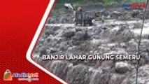 Banjir Lahar Gunung Semeru Hanyutkan Kandang Kambing Warga