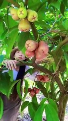 Enjoy beautiful nature with rural life