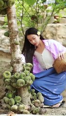 Enjoy beautiful nature with rural life