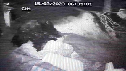 Sel suları böyle geldi