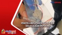Penyelundupan Kokain Cair Pertama di Indonesia Berhasil Diungkap, Begini Modus Pelaku