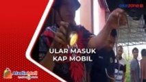 Ular Masuk Kap, Petugas Damkar Pangkalan Bun Bawa Mobil ke Pencucian