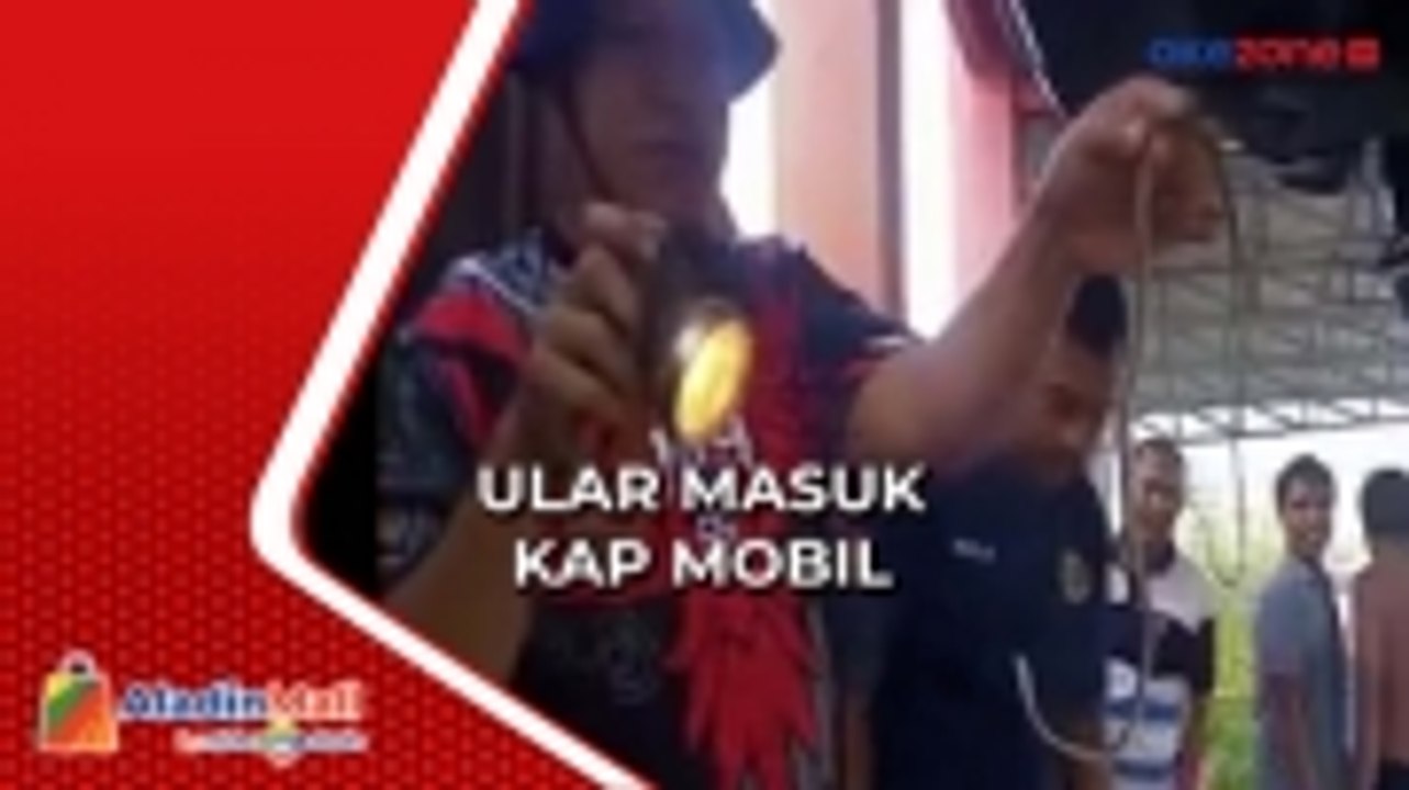 Ular Masuk Kap, Petugas Damkar Pangkalan Bun Bawa Mobil ke Pencucian
