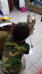 Kids Play Tug of War With Dog